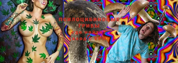амф Абдулино