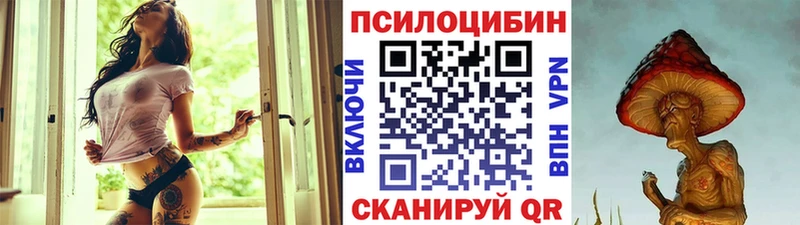 продажа наркотиков  Ак-Довурак  гидра зеркало  Псилоцибиновые грибы GOLDEN TEACHER 